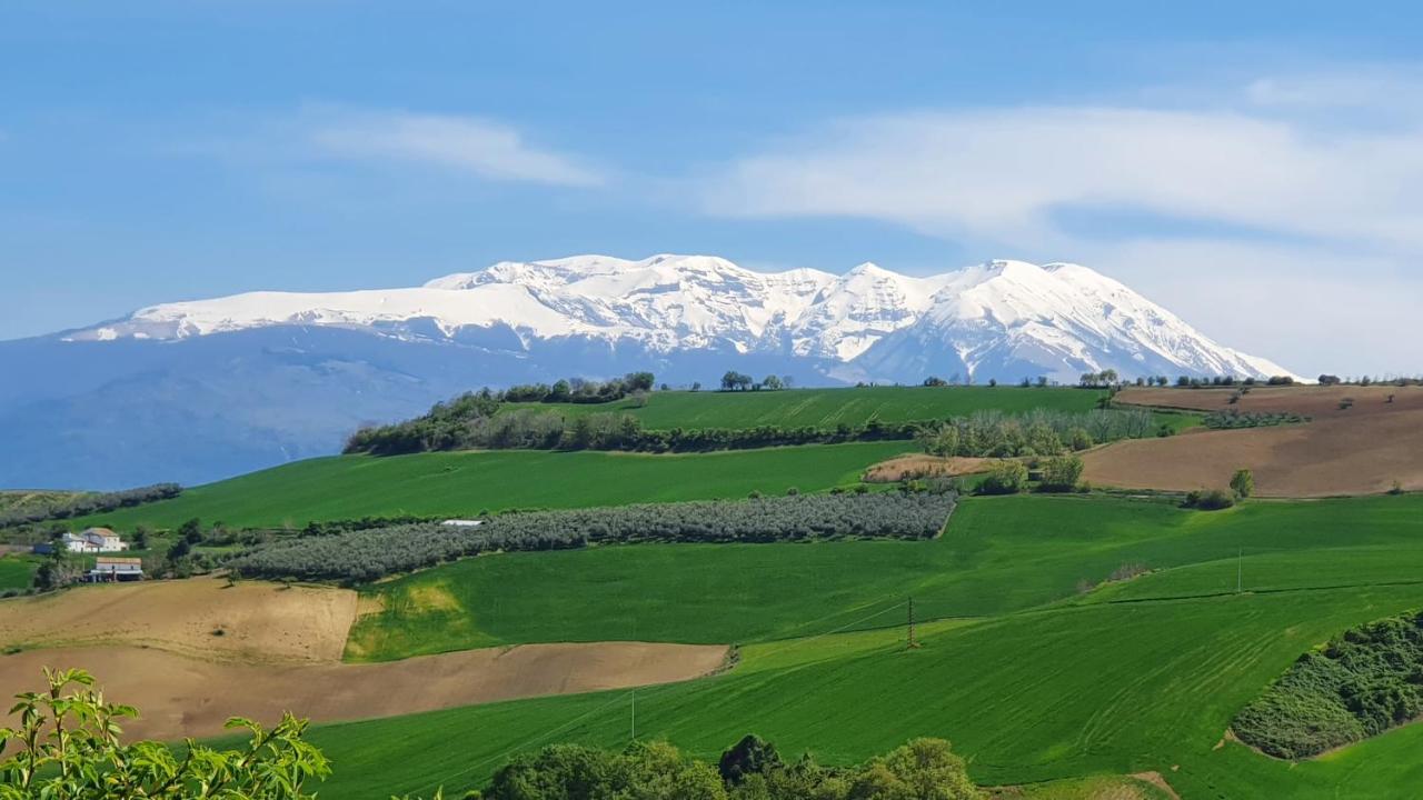 לינה וארוחת בוקר Civitella Casanova Casa Ciuffina מראה חיצוני תמונה